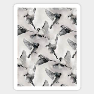 Sparrow Flight - monochrome Sticker